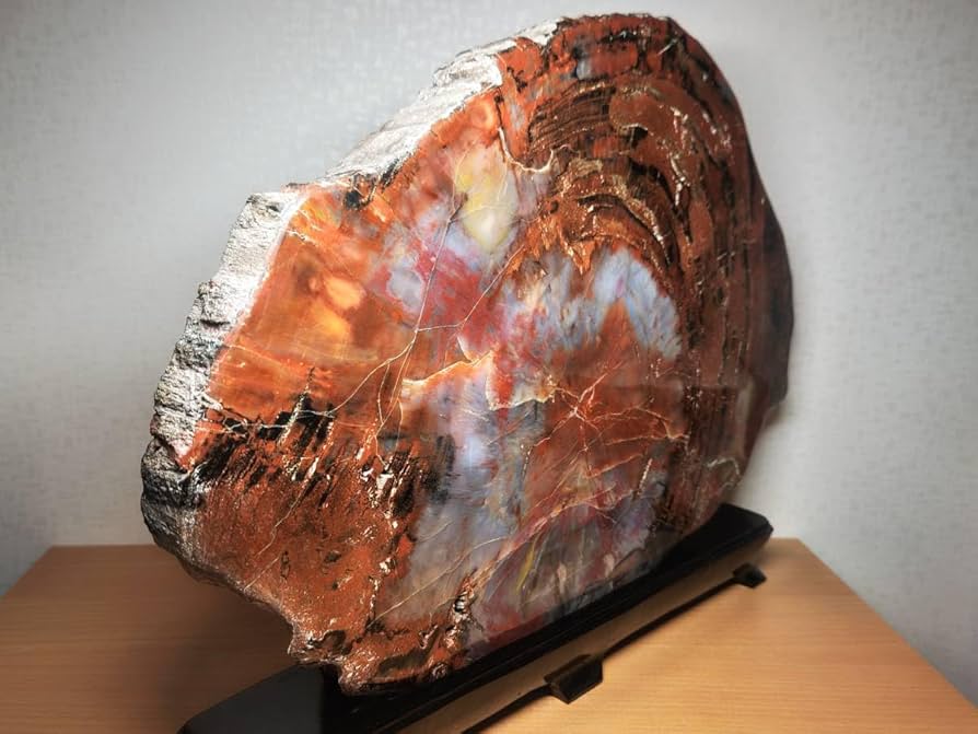 珪化木 9kg アリゾナ珪化木 化石 原石 鑑賞石 自然石 ジャスパー 赤石 1987884057.JPG?1690932099